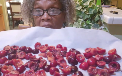 How To Freeze and Dry Cherries | DIY Cherry Preservation