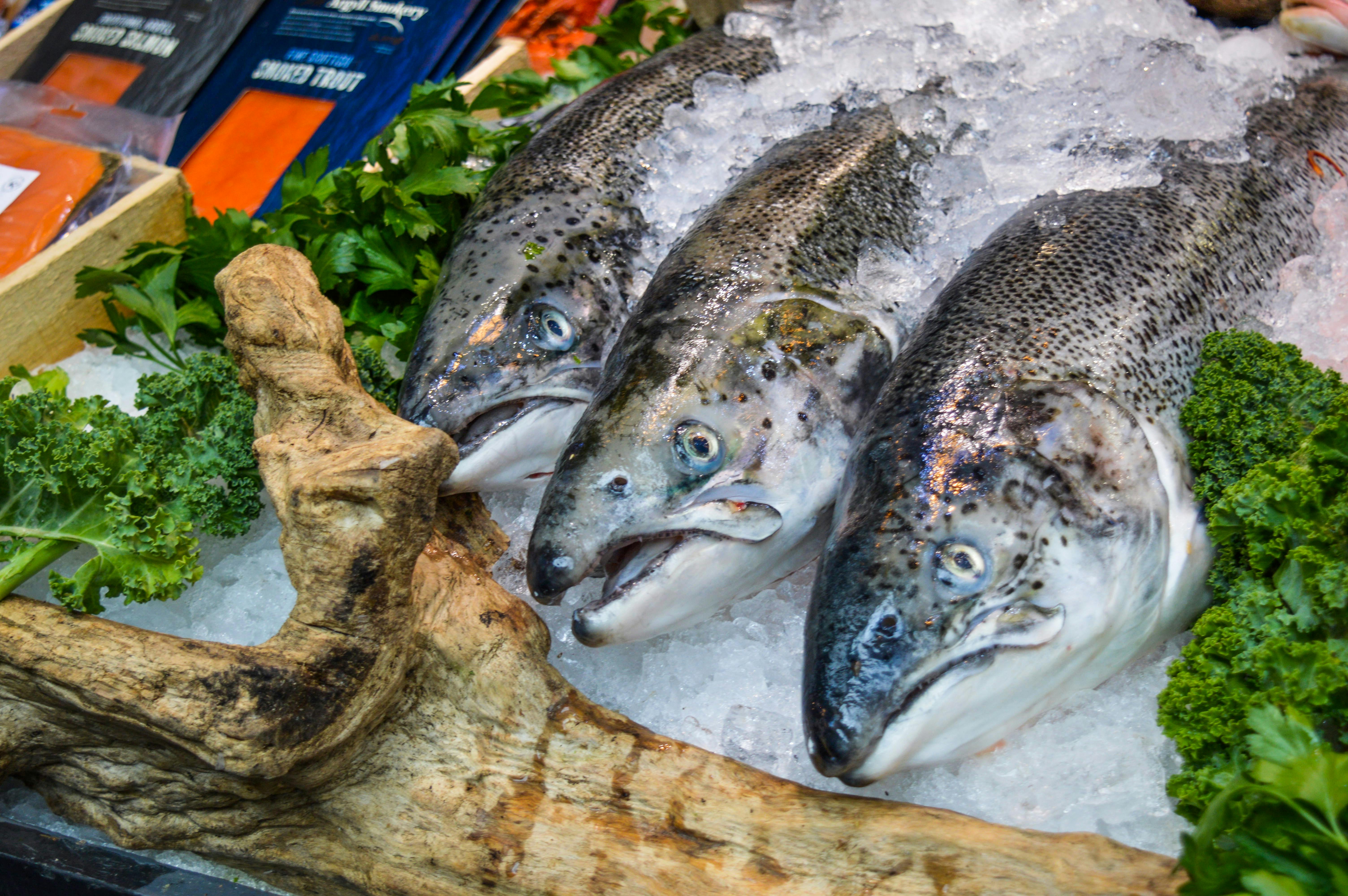 Fresh fish covered with ice near vegetables